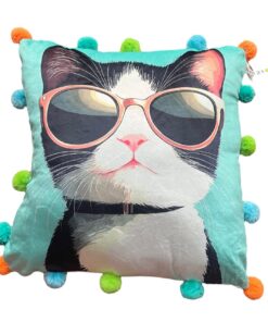 Cojin Gato con Lentes